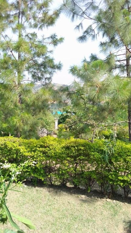 Rushozi Country Home & Camp ground Vacation rental in Uganda