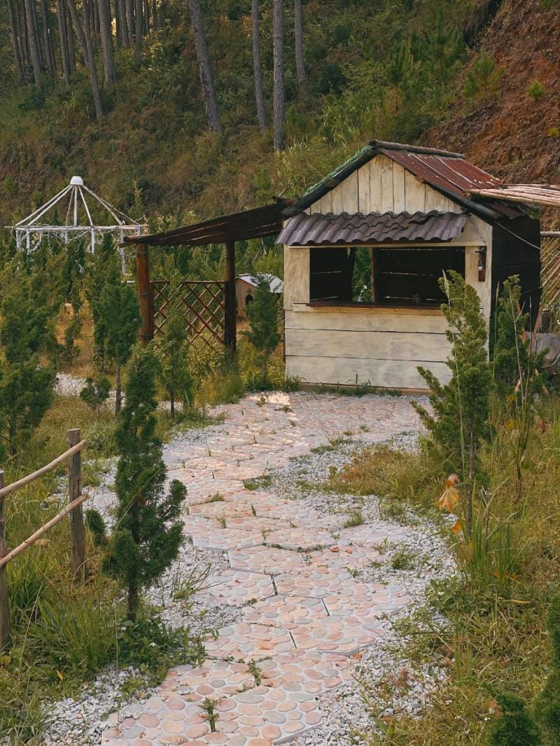 Sol Camping - Homestay Dalat Vacation rental in Lâm Đồng