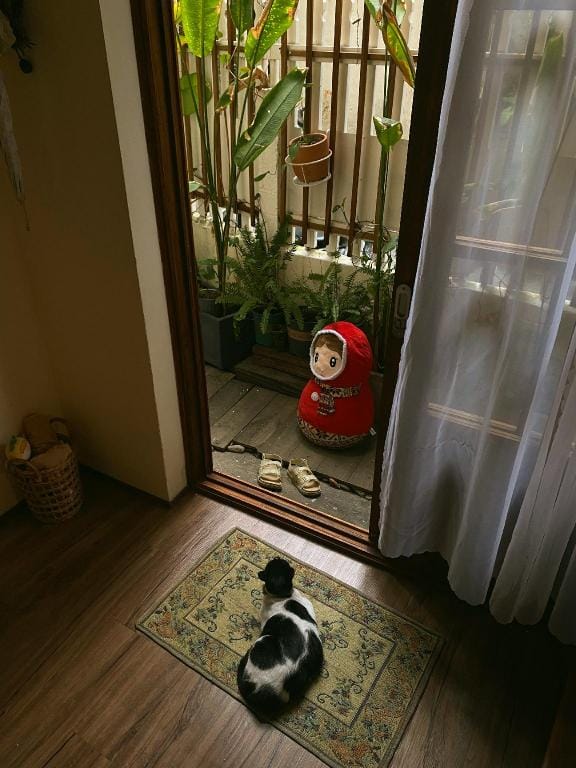 Tana home Vacation rental in Da Nang