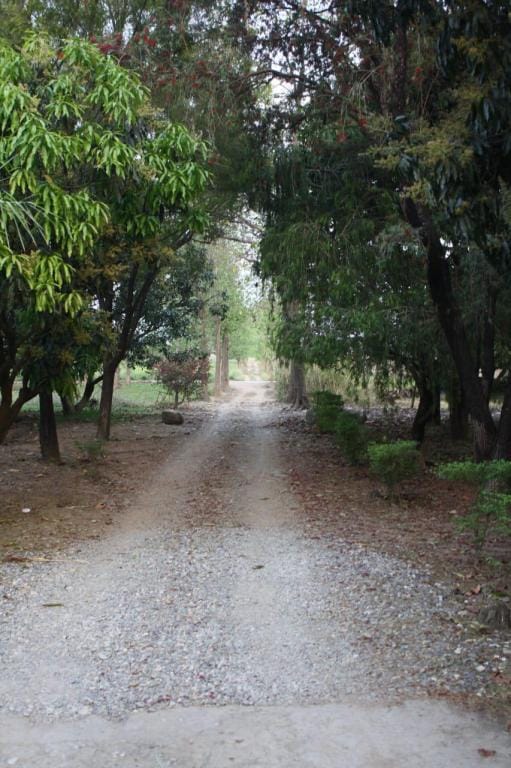 Aranyaka - A Farmstay for your Mind, Body & Soul Vacation rental in Uttarakhand
