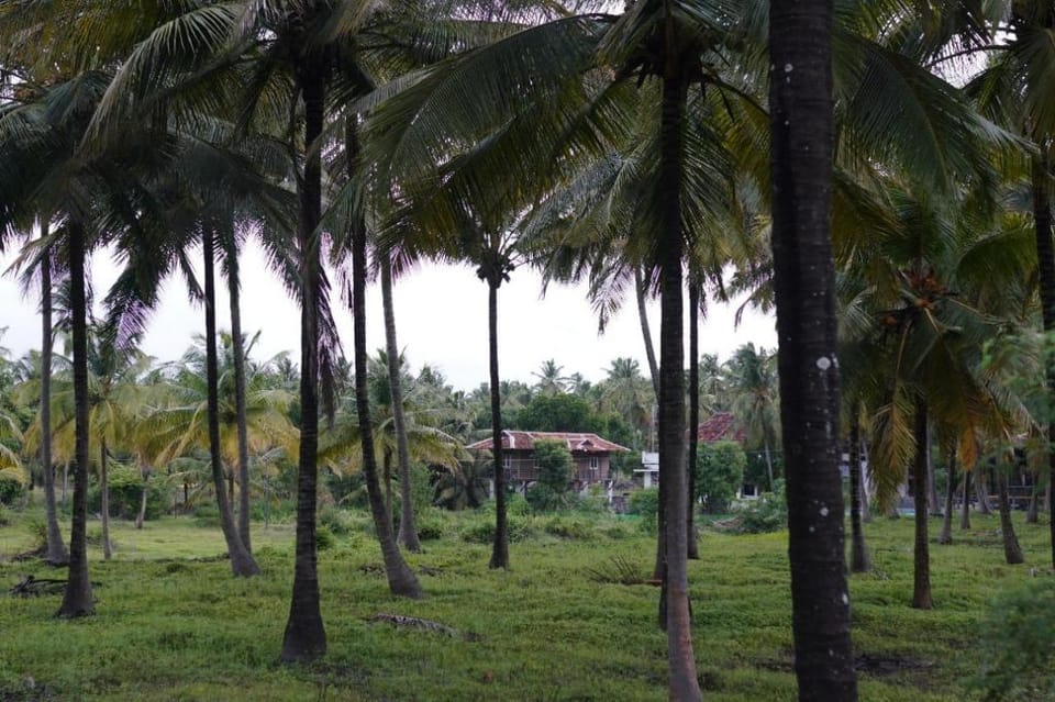 HAYDAYS Vacation rental in Kerala