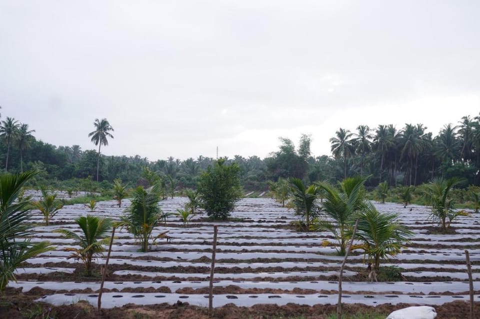 HAYDAYS Vacation rental in Kerala