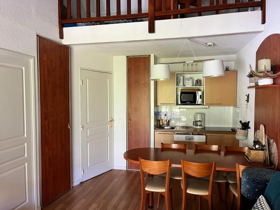 Comfort Duplex Apartment, Foot Of The Slopes Apartment in Aragon