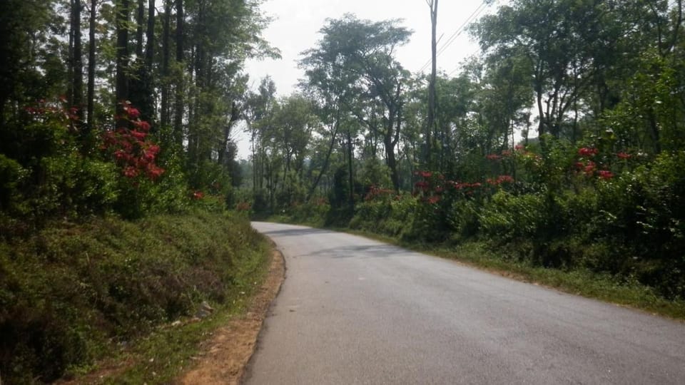 Coorg Spice Home Stay, Coorg Vacation rental in Kerala
