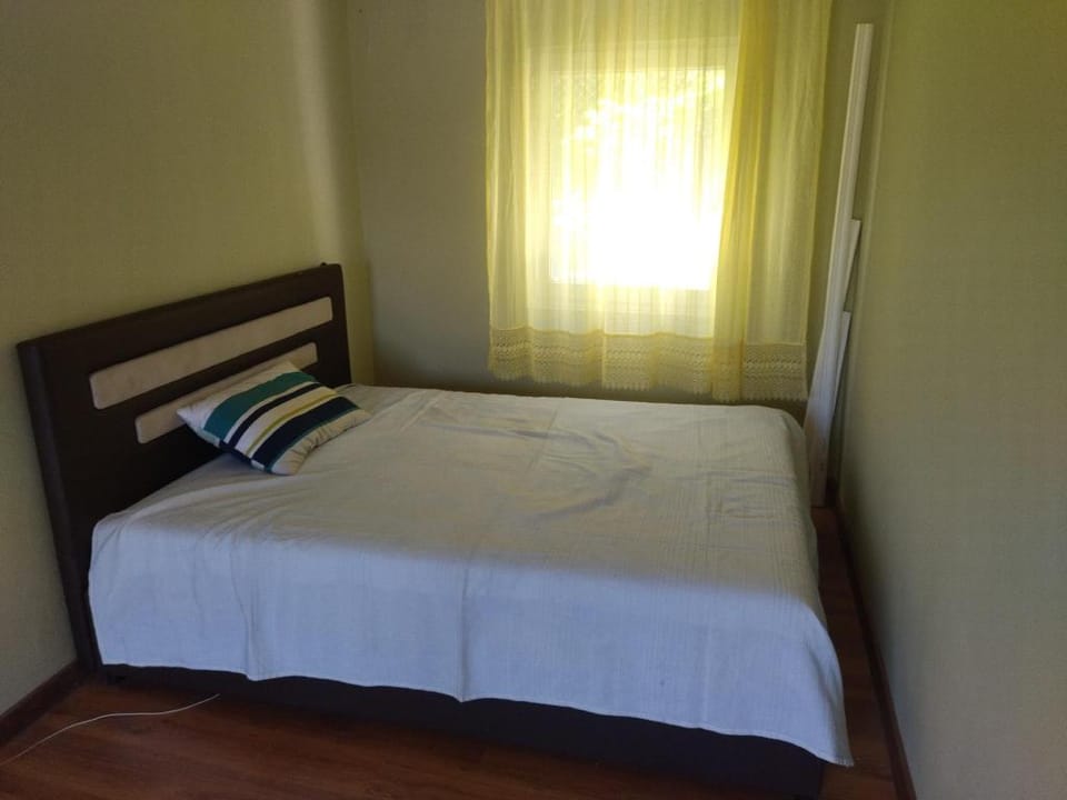 Peace of Djerdap Apartment in Serbia