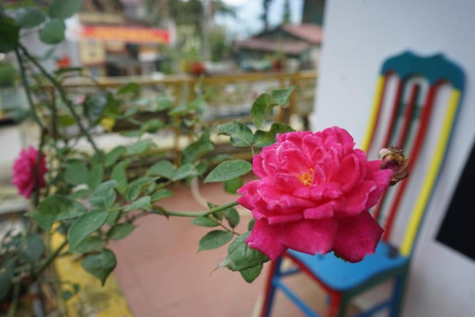 Saigonese Homestay   Vacation rental in Laos