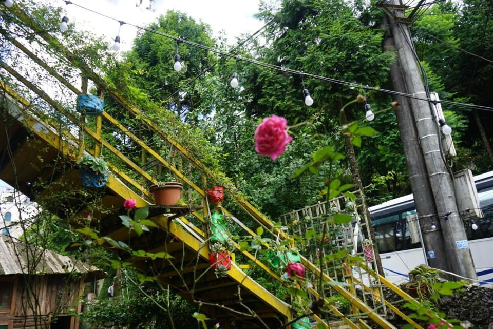 Saigonese Homestay   Vacation rental in Laos