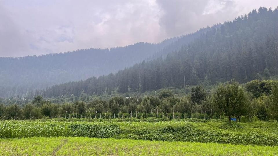 Traditional wood stone hut in apple orchard Blubop Vacation rental in Himachal Pradesh