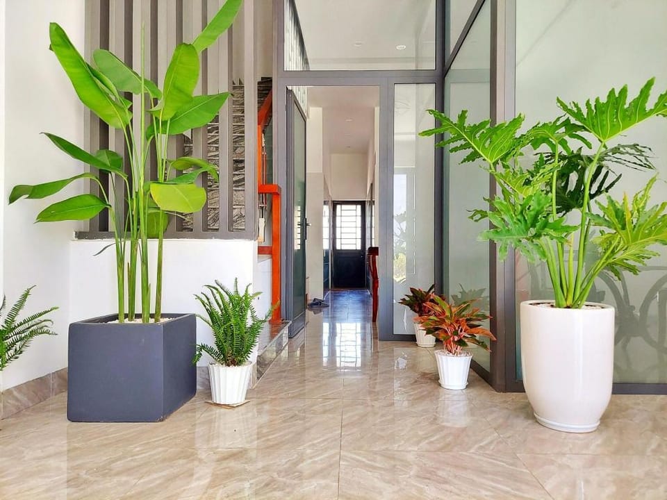 Homestay nguyên căn khu An Thượng, gần biển Mỹ Khê Apartment in Da Nang