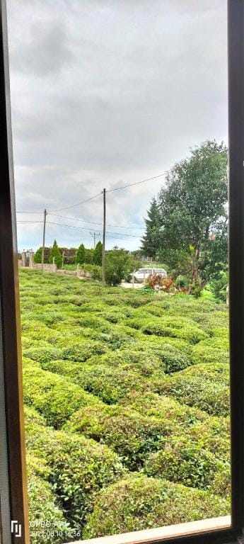 Eşsiz manzara sessiz ortam doğa harikası Vacation rental in Georgia