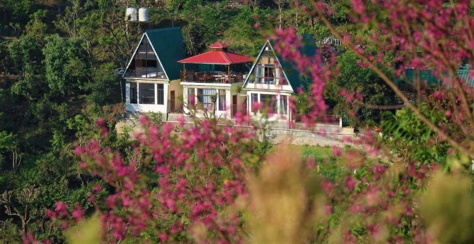 A frame at Naukuchiatal Vacation rental in Uttarakhand