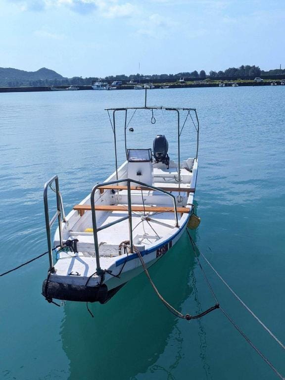 Birdland Amami Ashitoku Sauna & Pool Cottage Ocean + Mountain Consecutive Stay with Boat Use OK Villa in Japan