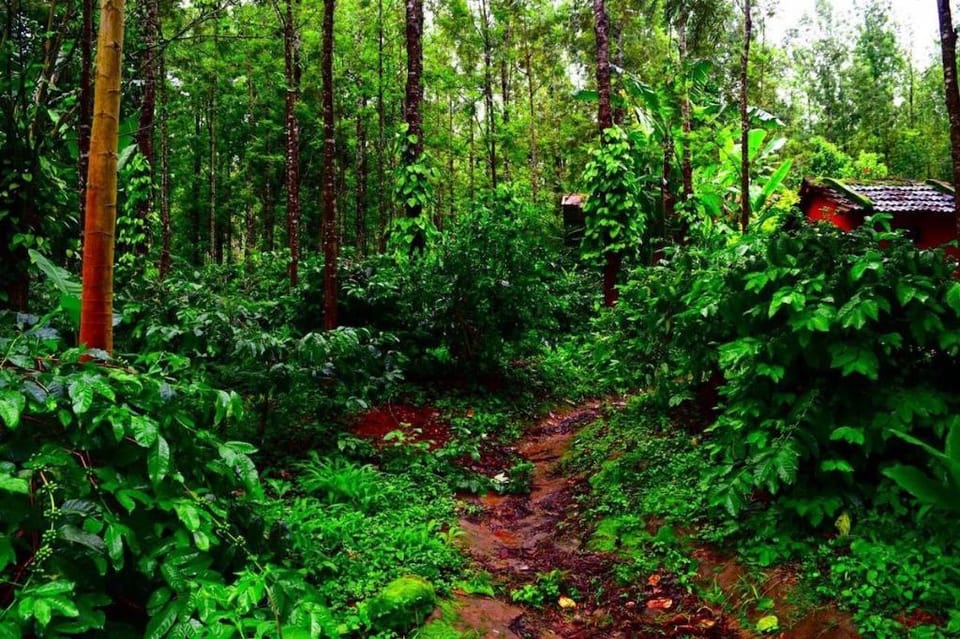 Indavara Houses Vacation rental in Karnataka
