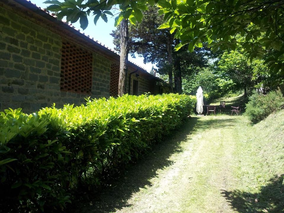 Amazing stay in Tuscany rustic style Apartment in Tuscany