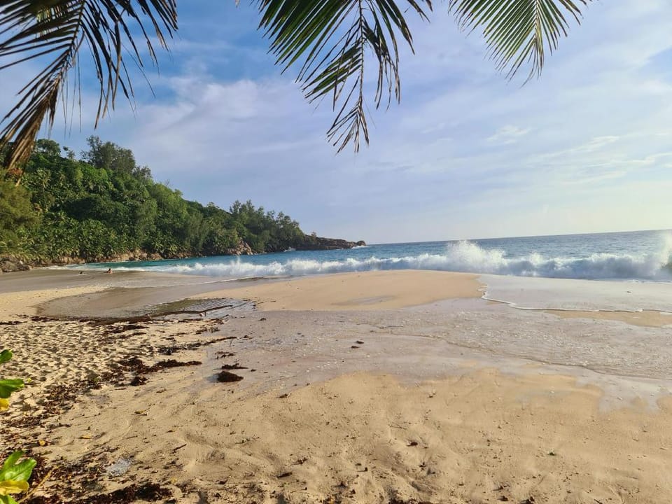 Escape in to nature, beach and sunset. Villa in Africa
