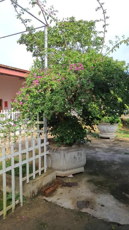 Minh Hao Guest House Apartment in Laos