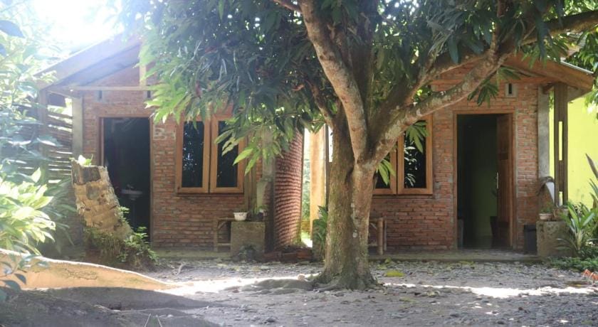 Jhony's Backpacker-Guest House Bed and Breakfast in Indonesia