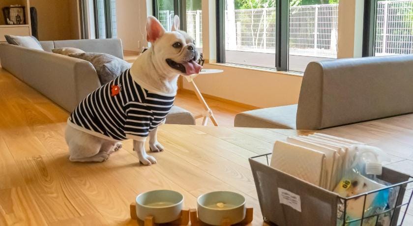 Rakuten STAY VILLA Aso Kurokawa Apartment in Fukuoka Prefecture