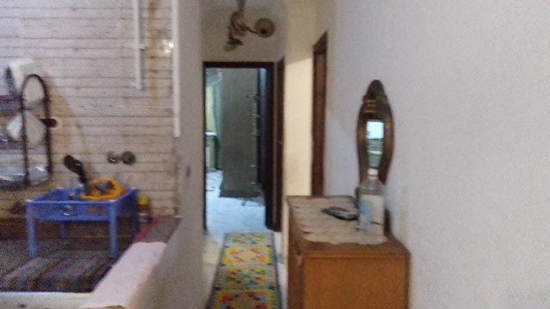 fleming akexandria Apartment in Alexandria