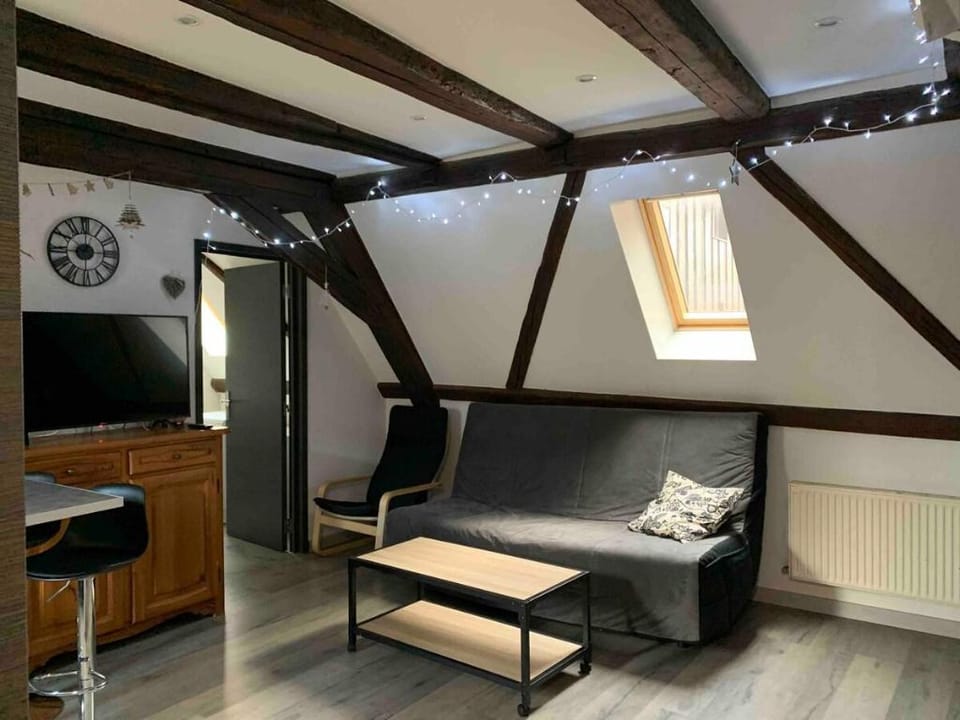 The Gîte du Figuier 3 * 6persons Sélestat Alsace Apartment in Sélestat