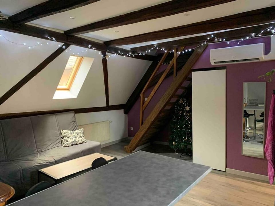 The Gîte du Figuier 3 * 6persons Sélestat Alsace Apartment in Sélestat