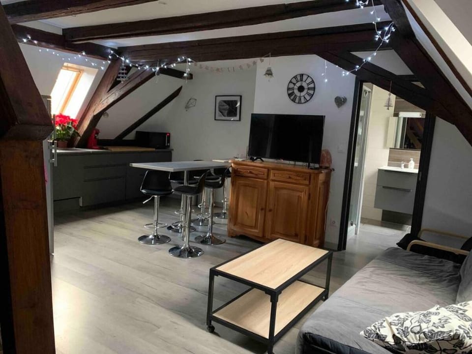 The Gîte du Figuier 3 * 6persons Sélestat Alsace Apartment in Sélestat