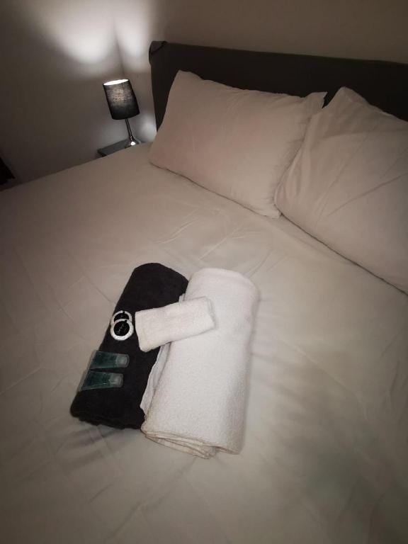 London 2 x bedroom 2 x bathroom flat with parking Apartment in London