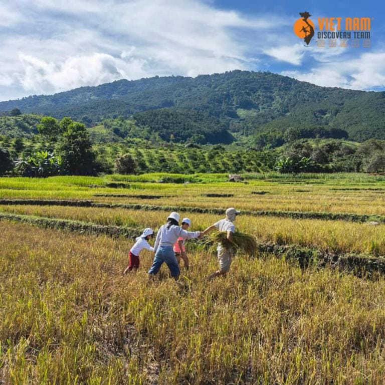 Vườn Rừng Campsite Vacation rental in Lâm Đồng