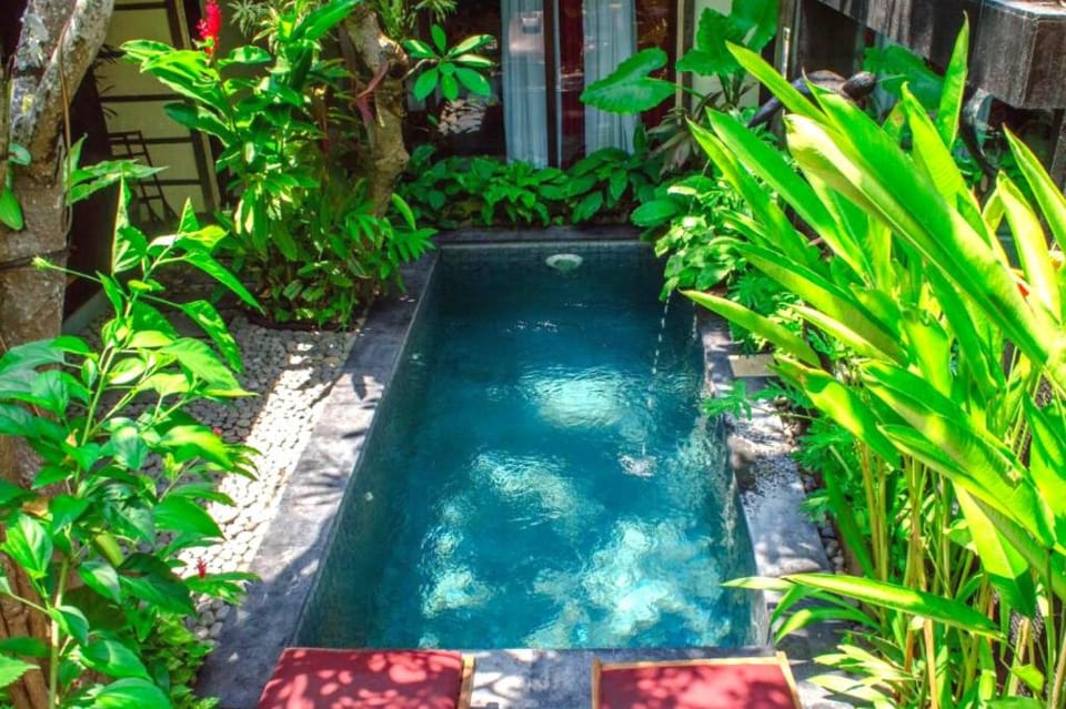 Cozy 3 Br Private Pool Villa at Seminyak #TZ1 Villa in Kuta