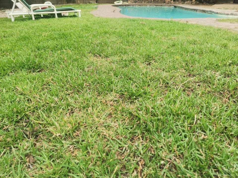 Adorable 1 bedroom place, suitable for day & night Vacation rental in Randburg
