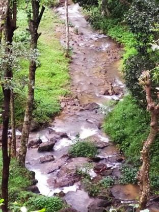 Hidden Creek  Coorg Vacation rental in Kerala