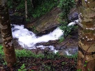 Hidden Creek  Coorg Vacation rental in Kerala