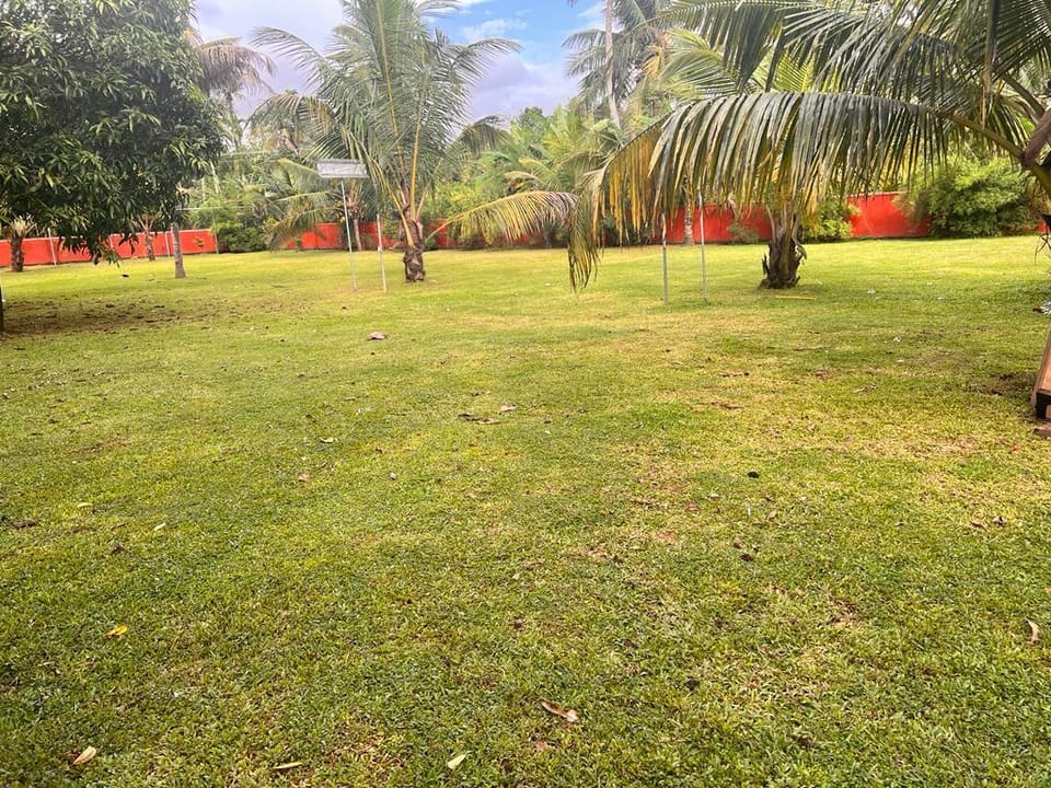 Riverview 6 bedroom Villa with infinity pool Villa in Kochi