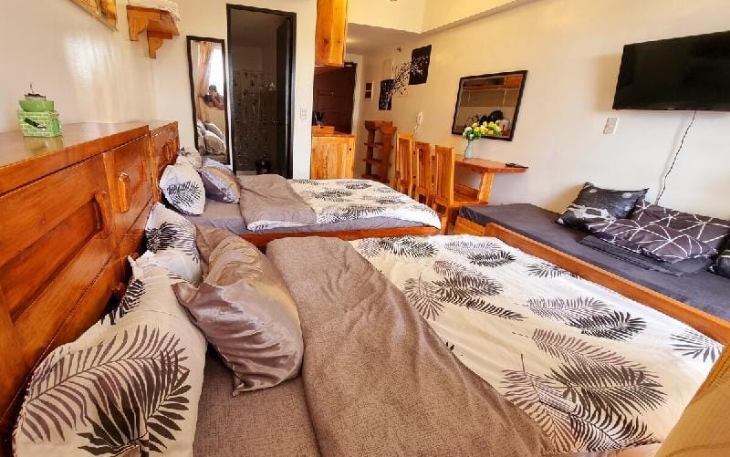 Charming Studio Condo Unit near Mines Park Apartment in Baguio