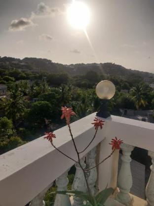 Beautiful Swahili Shela house  Vacation rental in Lamu County, Kenya