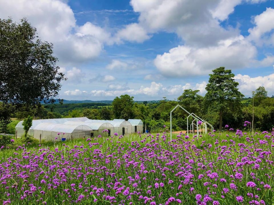 Phu Phrom Dao Farmstay Farm Stay in Laos