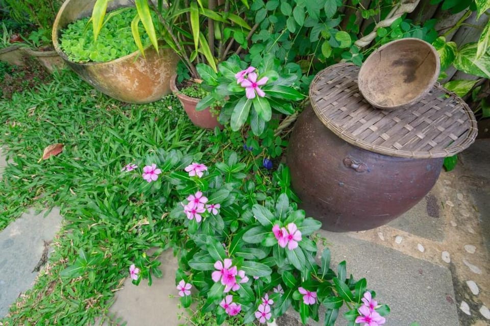 Luxury house*3Brs*outdoor pool☆rice field view★★★ Vacation rental in Hoi An