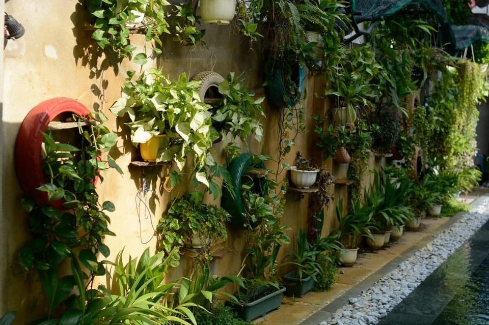 Whole House 3BR w/Pool/Bike/Private Kitchen Inc. Villa in Hoi An