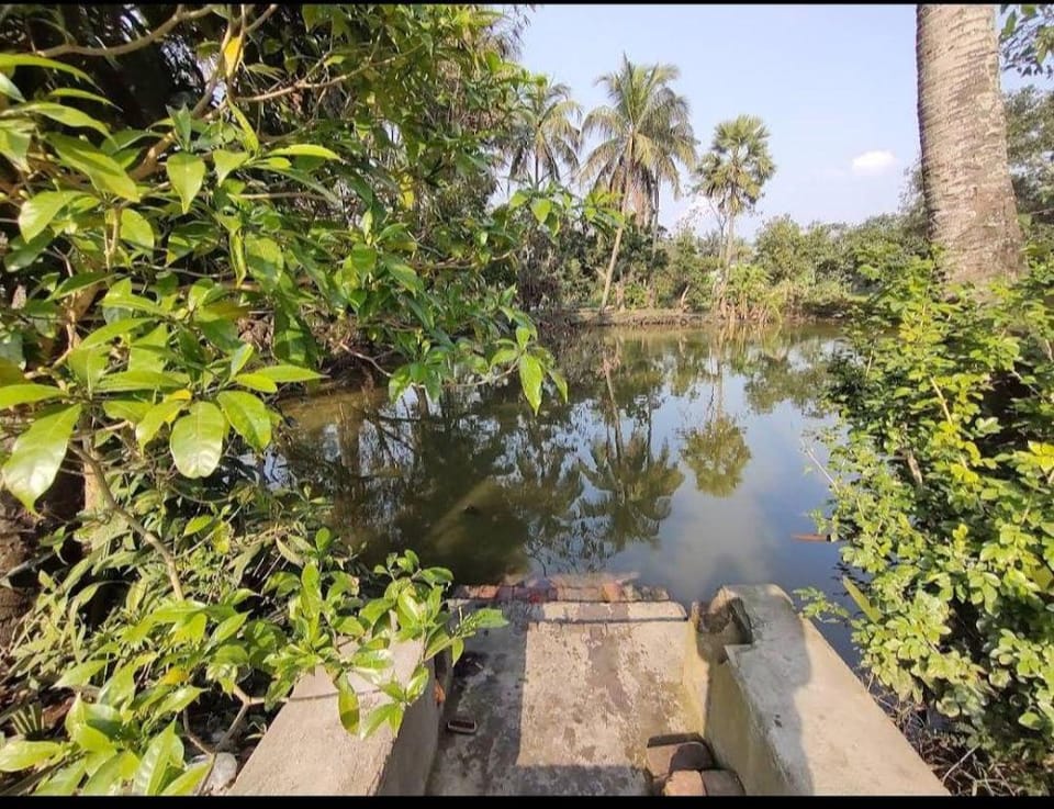 Amullya Kanan Villa, Sundarban Villa in West Bengal