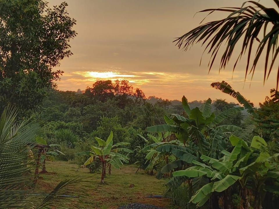Shalom Hills  ... God's natural way to Refresh !! Vacation rental in Maharashtra