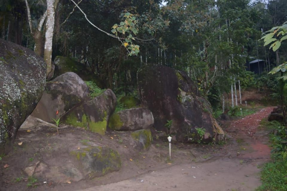 Cave Valeey Villa in Kerala
