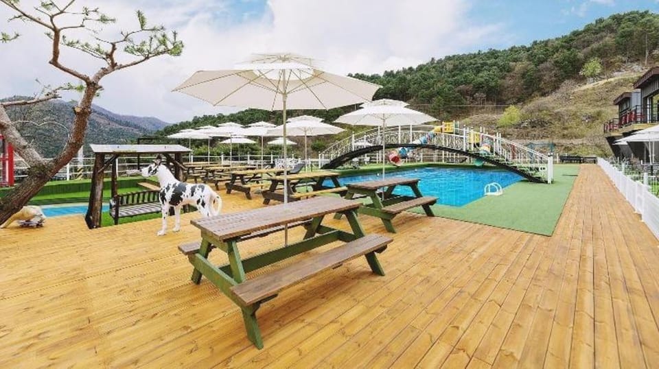 Gapyeong Gaboja Pension Bed and Breakfast in Gyeonggi-do