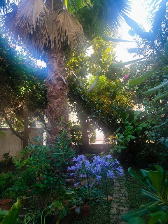 La Magnolia villa vacanze giardino e parcheggio Villa in Specchiolla