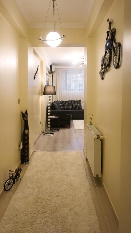 Vega House Apartment in Istanbul