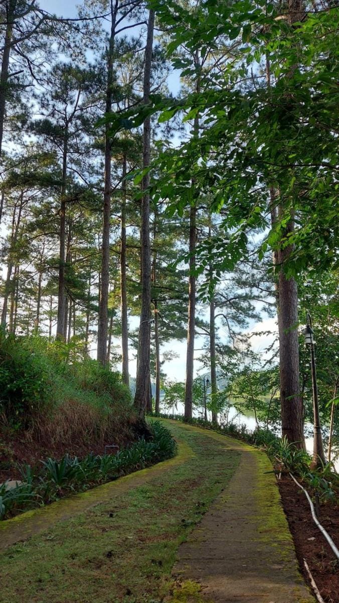 Luxury villas Tuyen lam lake view Villa in Dalat