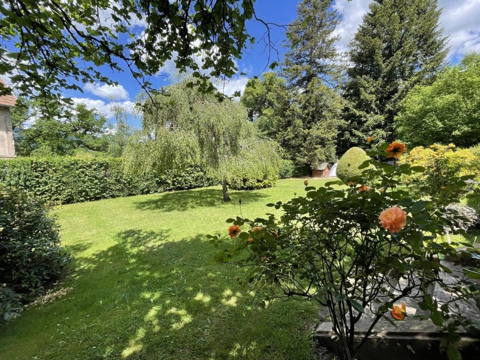 A l'Ombre des tilleuls Vacation rental in Vosges