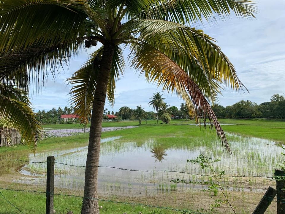 No available Vacation rental in Kedah