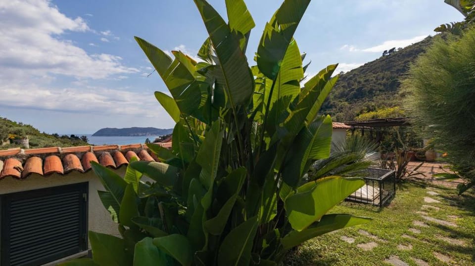 Fontanelle 34 - Alassio Apartment in Liguria