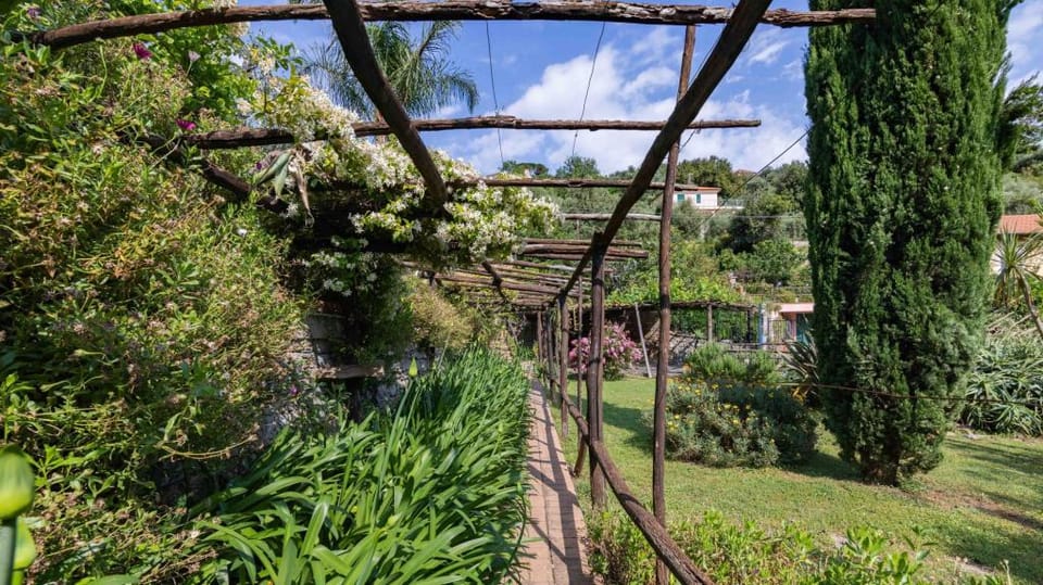 Fontanelle 34 - Alassio Apartment in Liguria