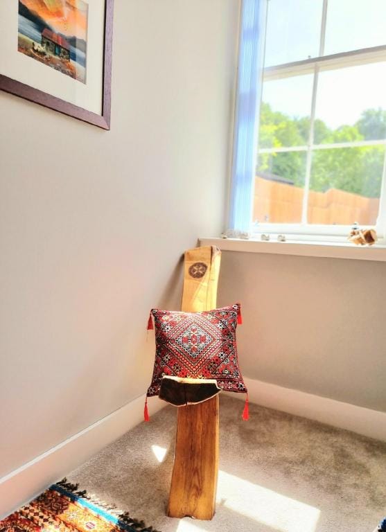 Unique Two Bed Holiday Home in Edinburgh Apartment in Edinburgh